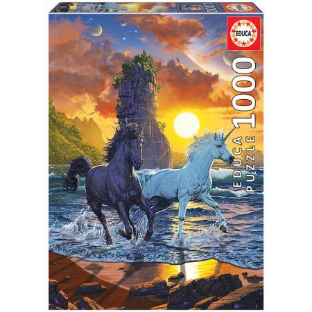 1000 Unicorns on the Beach