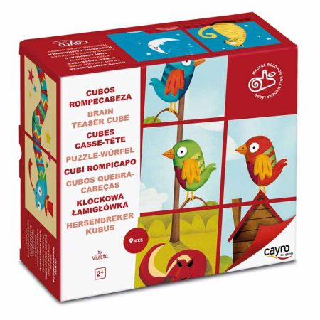 Cubos quebra cabeças madeira 9 peças