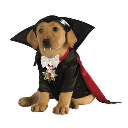 Disfarce para cão Dracula