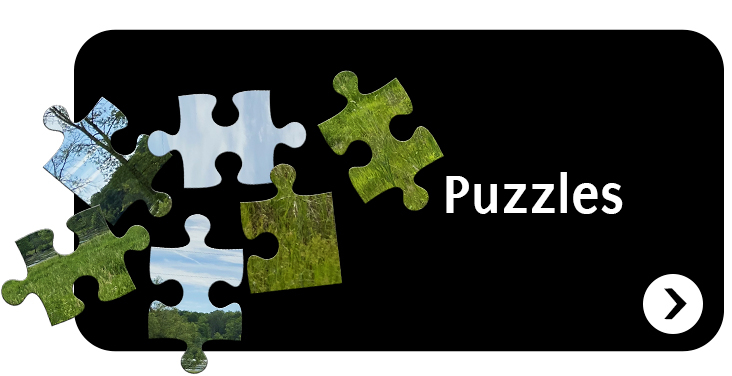 Puzzles